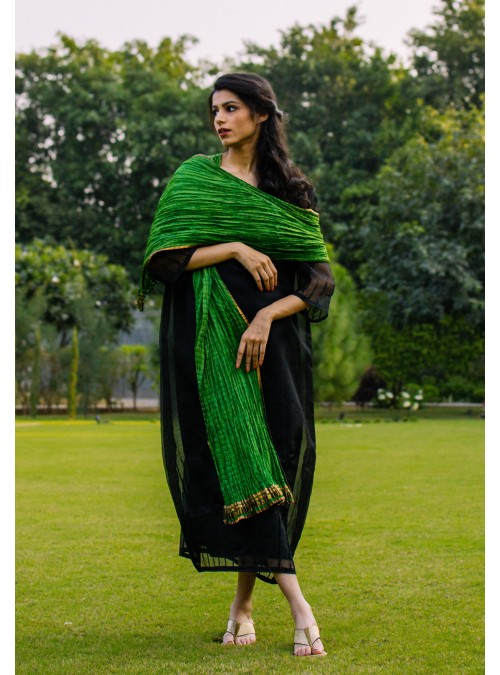 Silk Dupatta/ Scarf (with gold trims on side)