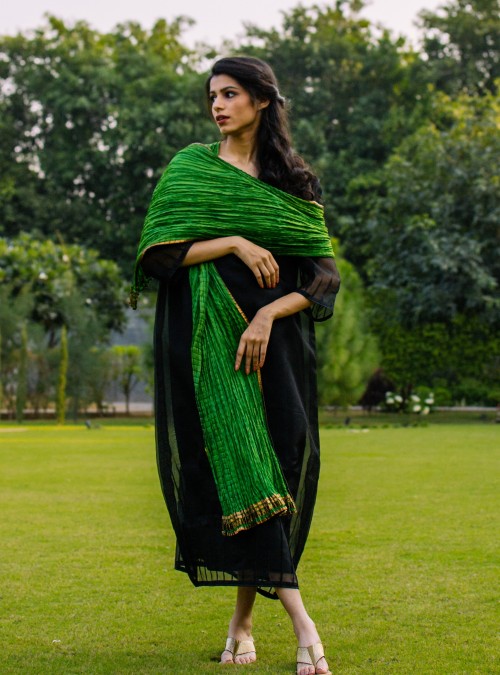 Silk Dupatta/ Scarf (with gold trims on side)