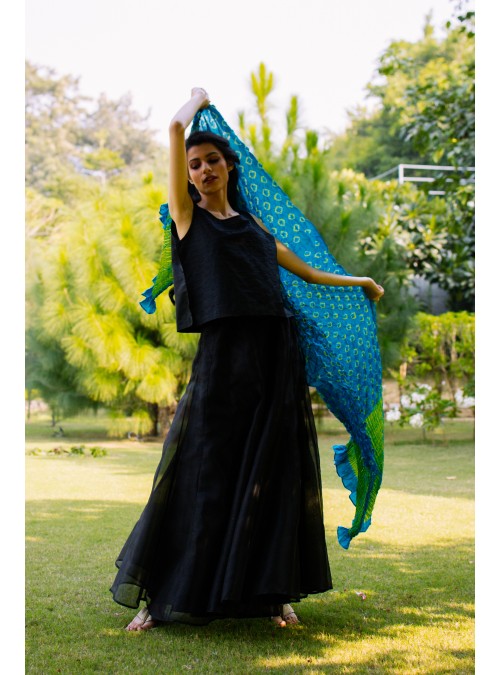 Tie Dye/Shibori Dupatta/Long Scarf