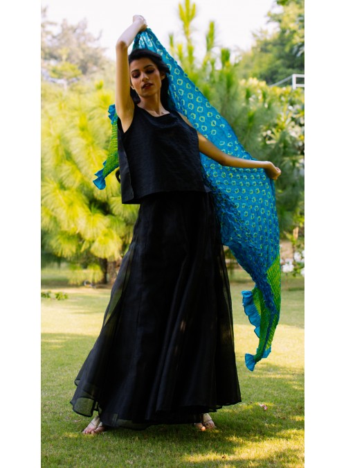 Midnight Black Organza Skirt