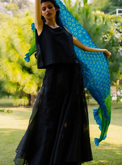 Midnight Black Organza Skirt