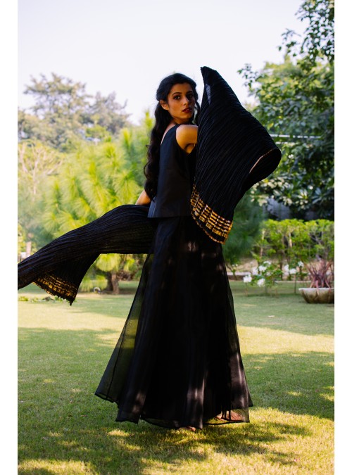 Midnight Black Organza Skirt