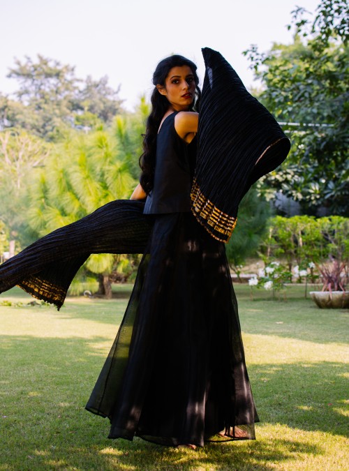 Midnight Black Organza Skirt